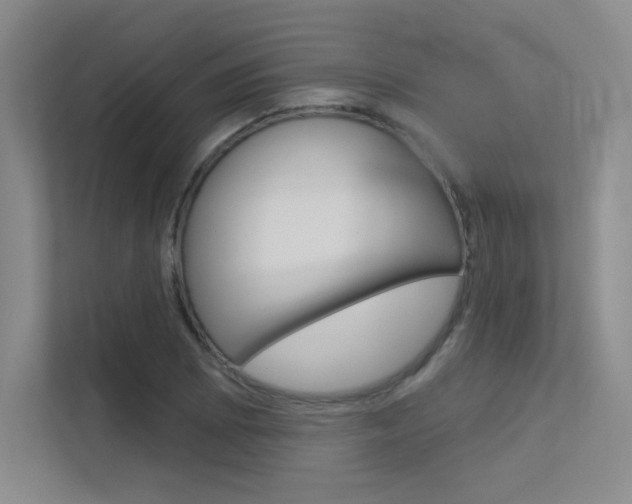 X0000113361073200909151002