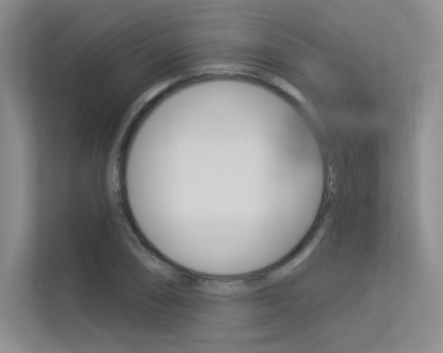 X0000113361074200909151002