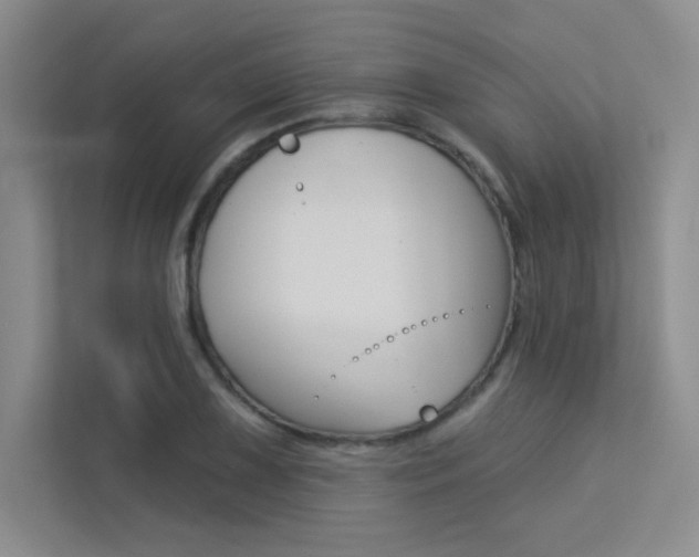 X0000113361075200909151002