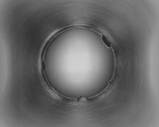 X0000113361076200909151002