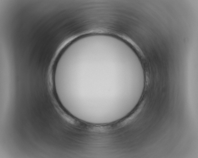 X0000113361078200909151002