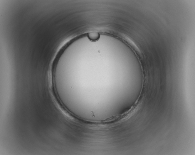 X0000113361079200909151002