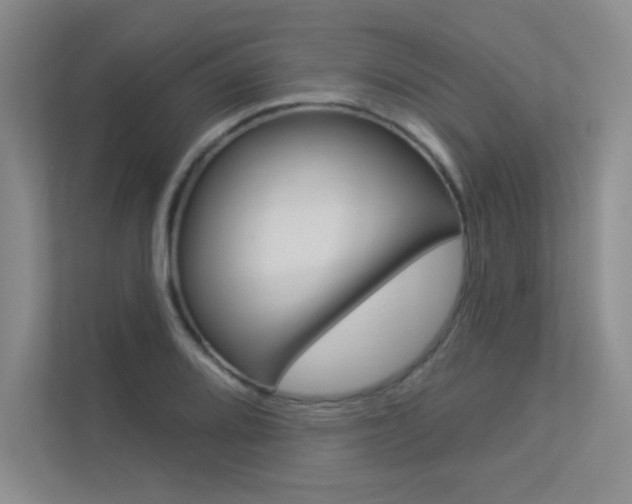 X0000113361080200909151002