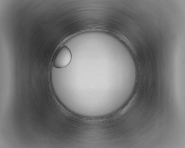X0000113361081200909151002
