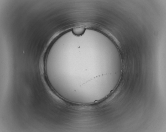 X0000113361083200909151002