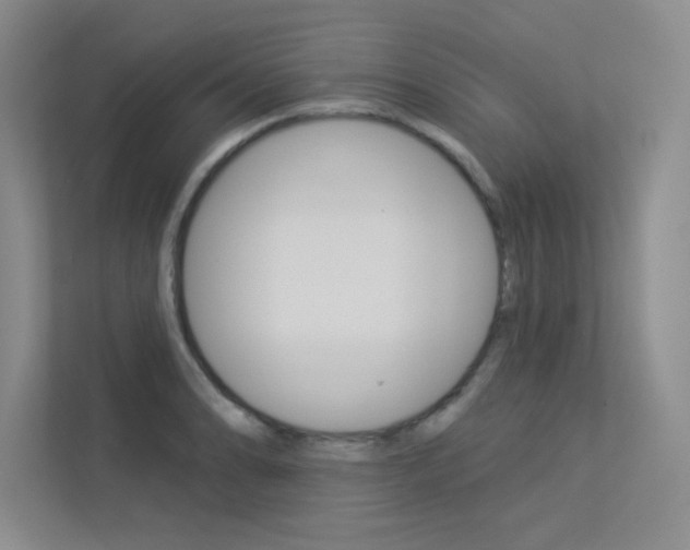 X0000113361086200909151002