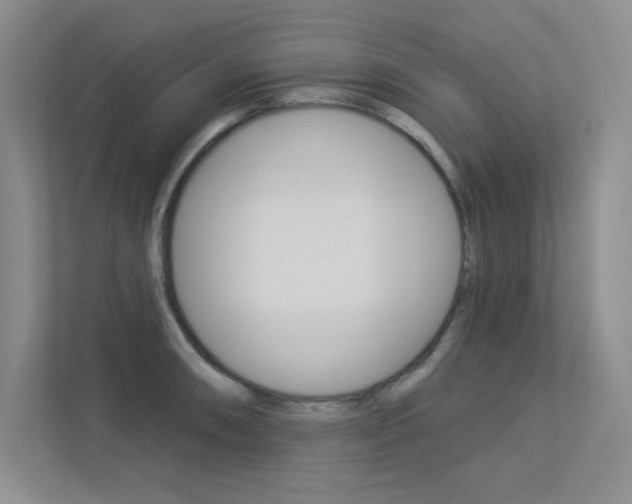 X0000113361090200909151002