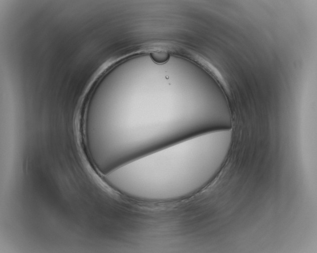X0000113361091200909151002