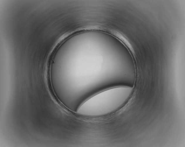 X0000113361093200909151001