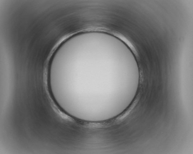 X0000113361094200909151001