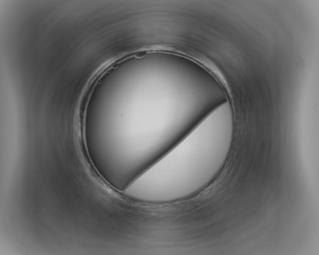 X0000113361096200909151001