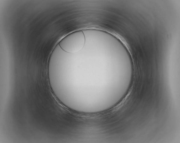 X0000113361097200909151001
