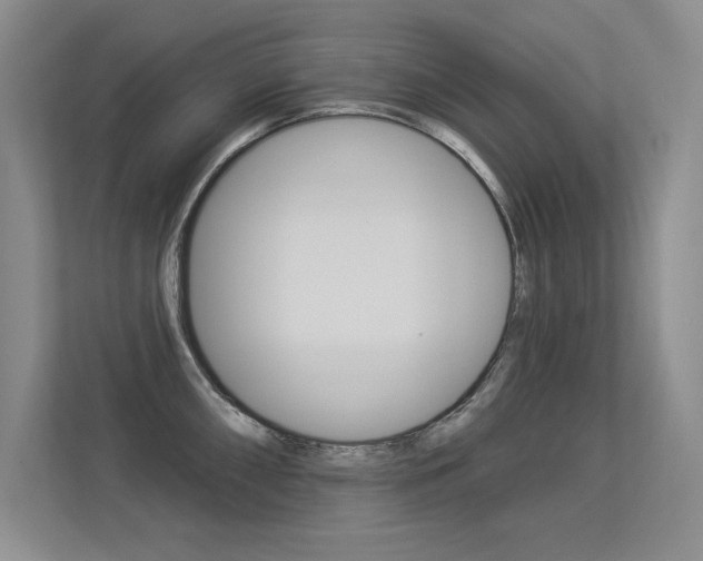 X0000113361098200909151001