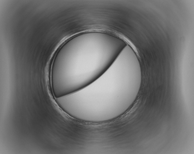 X0000113361099200909151001