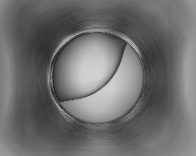 X0000113361101200909151001