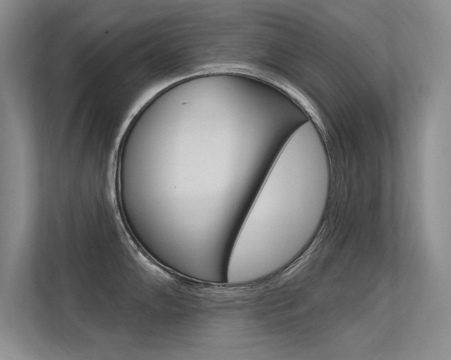 X0000113361102200909151001