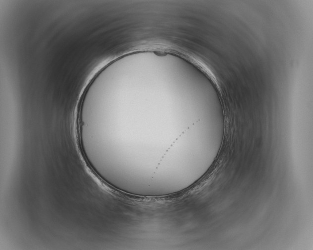 X0000113361103200909151001