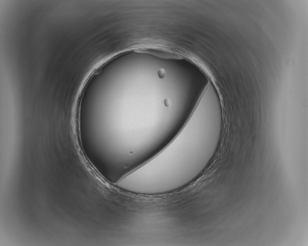 X0000113361104200909151001