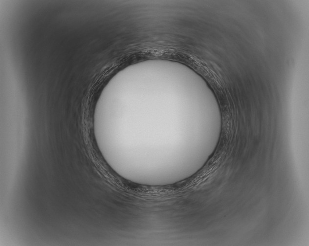 X0000113361105200909151001