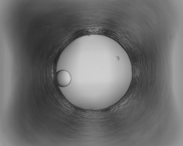 X0000113361106200909151001