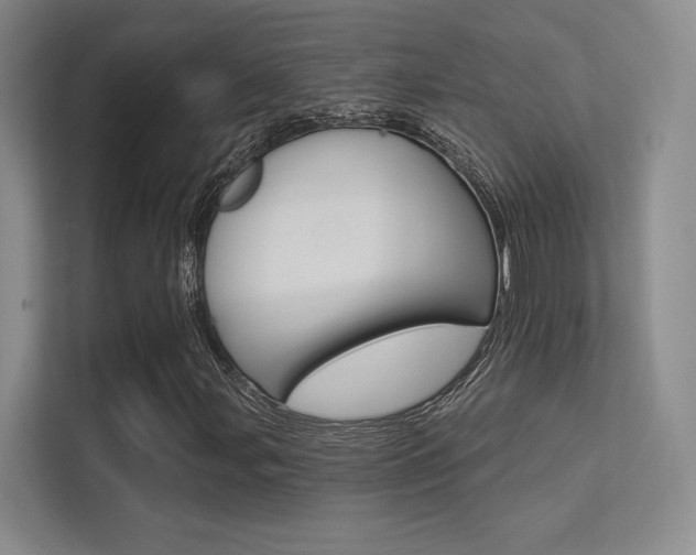 X0000113361107200909151001