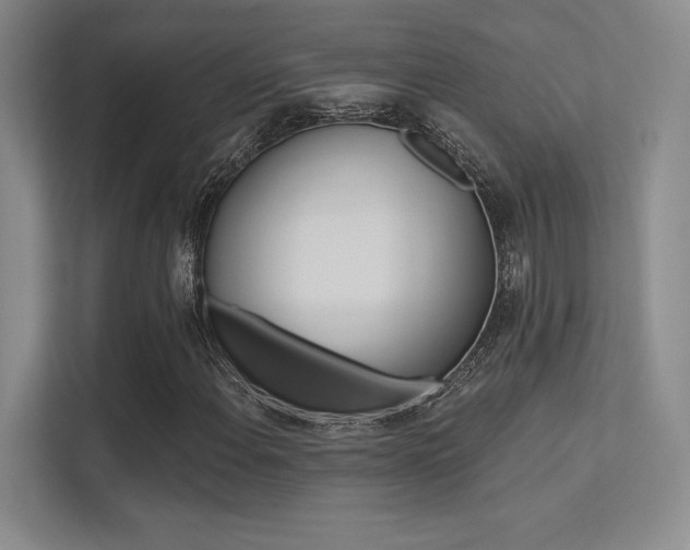 X0000113361108200909151001