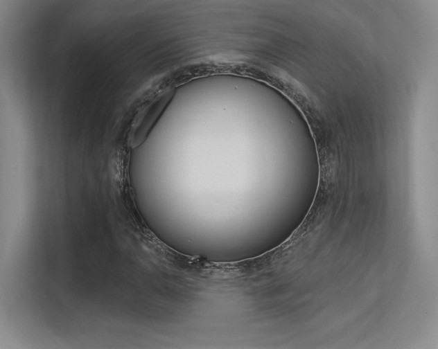 X0000113361110200909151001