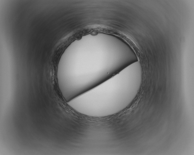 X0000113361111200909151001
