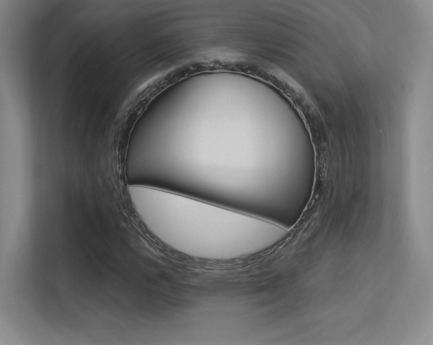 X0000113361112200909151001