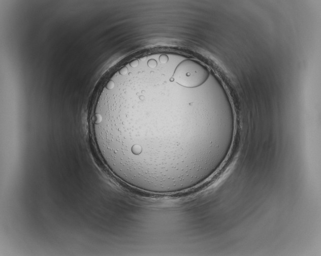 X0000113361113200909151001