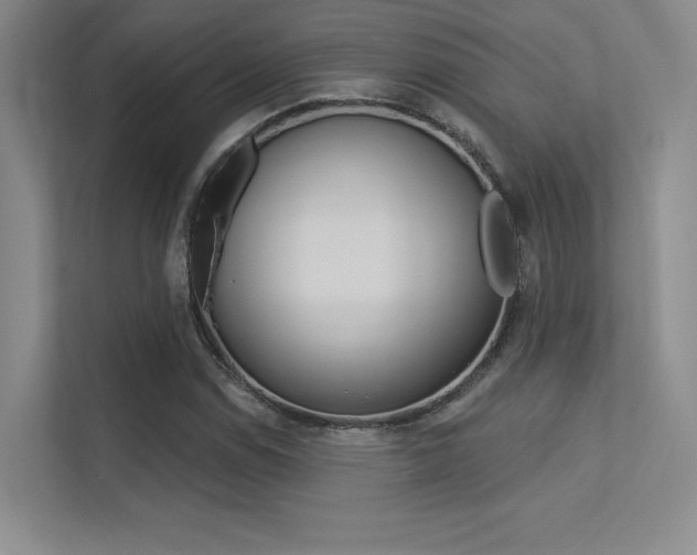 X0000113361114200909151001