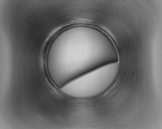 X0000113361115200909151001