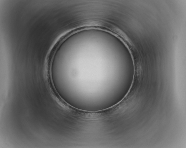 X0000113361116200909151001