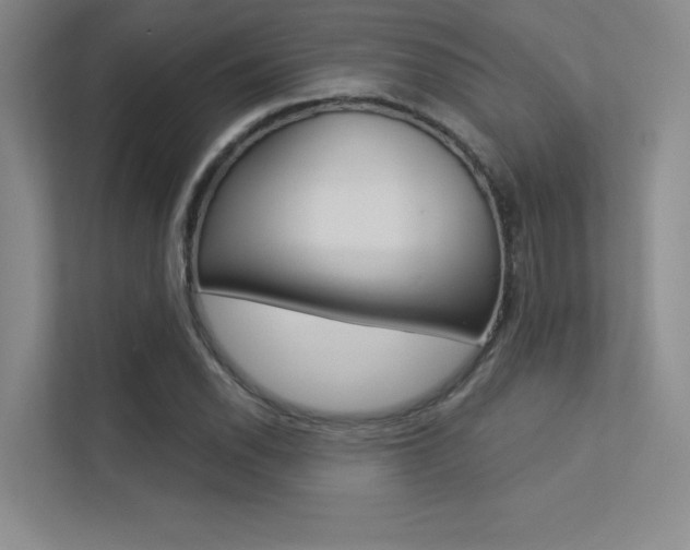 X0000113361118200909151001