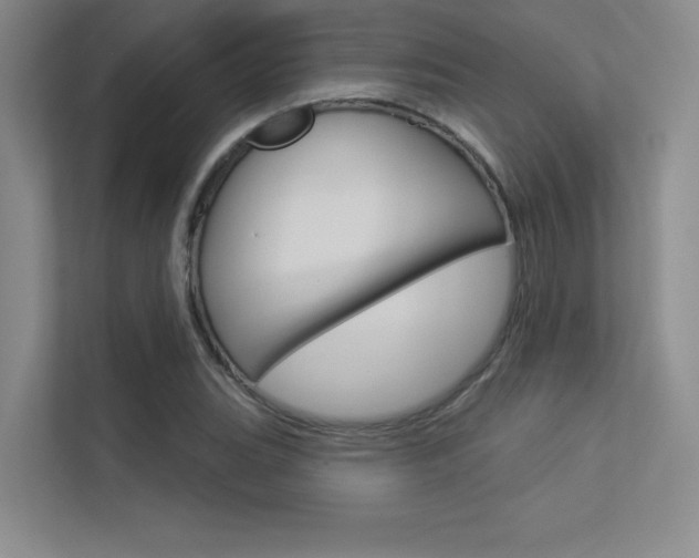 X0000113361119200909151001