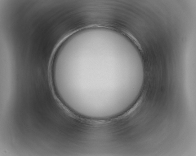 X0000113361122200909151001