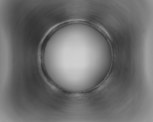 X0000113361124200909151001