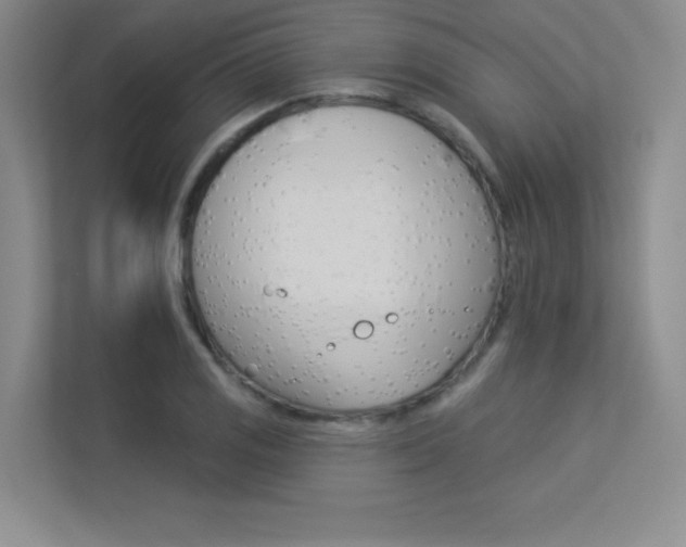 X0000113361125200909151001