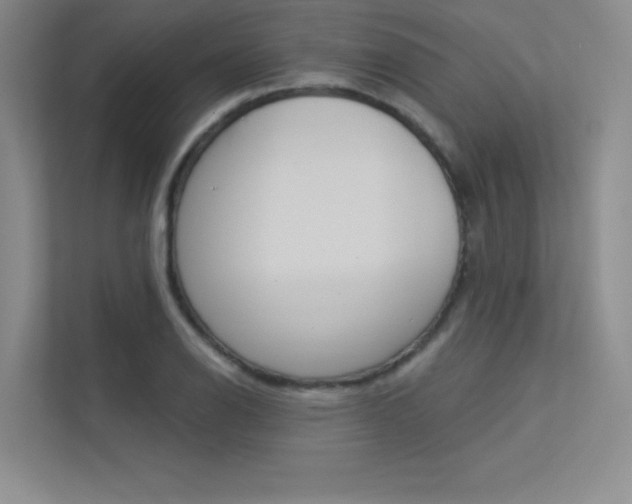 X0000113361126200909151001