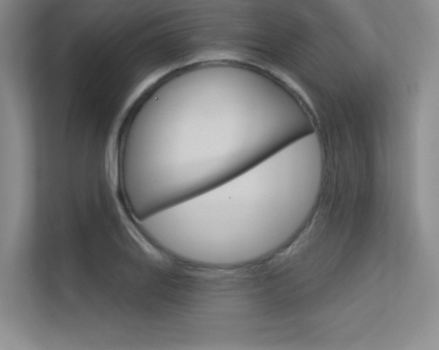 X0000113361127200909151001