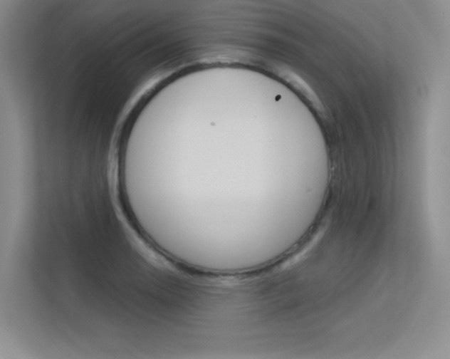 X0000113361130200909151001
