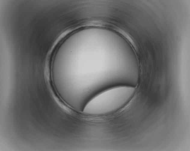 X0000113361131200909151001