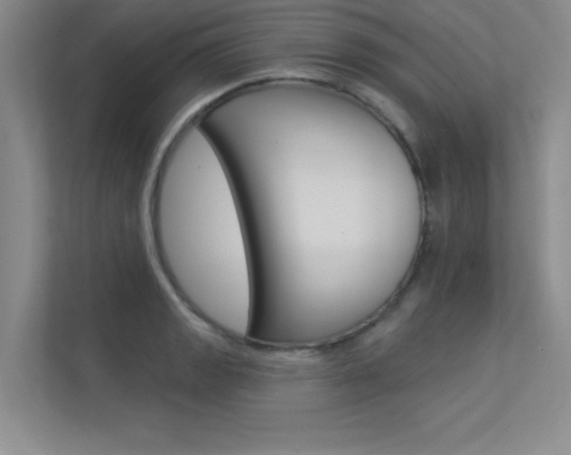X0000113361133200909151001