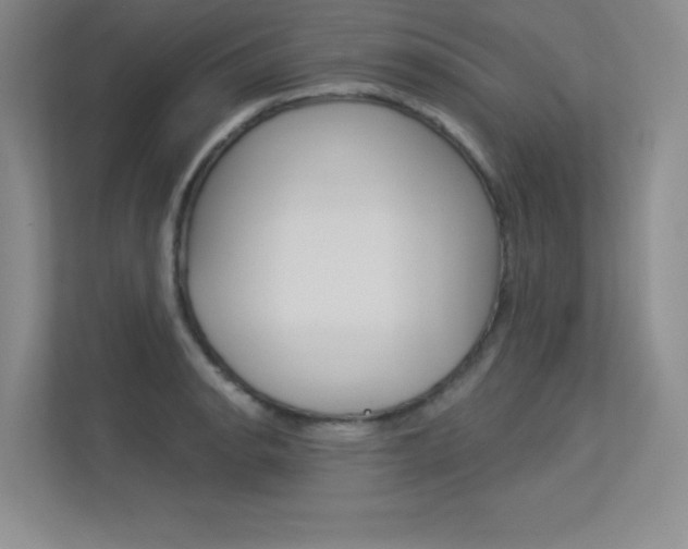 X0000113361134200909151001