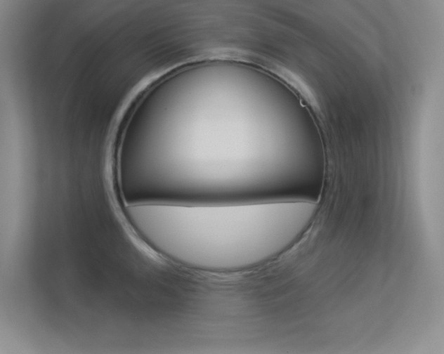 X0000113361136200909151001
