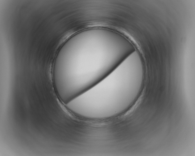 X0000113361137200909151001