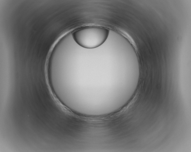 X0000113361138200909151001