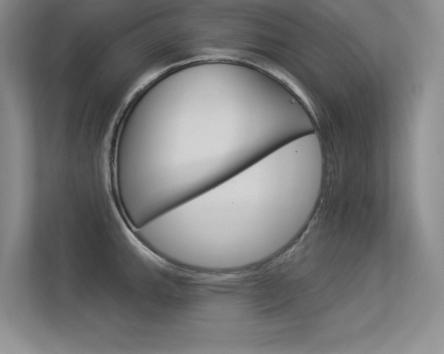 X0000113361143200909151001