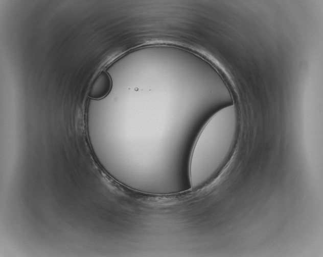 X0000113361145200909151001