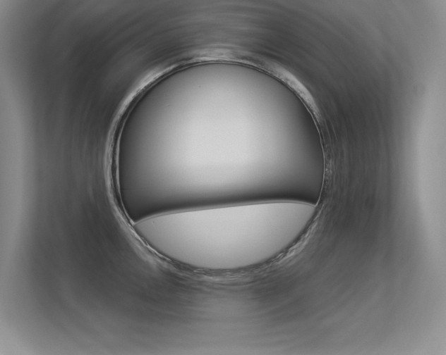 X0000113361146200909151001